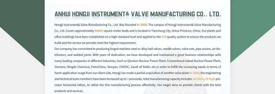 Ball Valve Manufacturer Supplier High Press 6000psi Stainless Steel Ball Valve