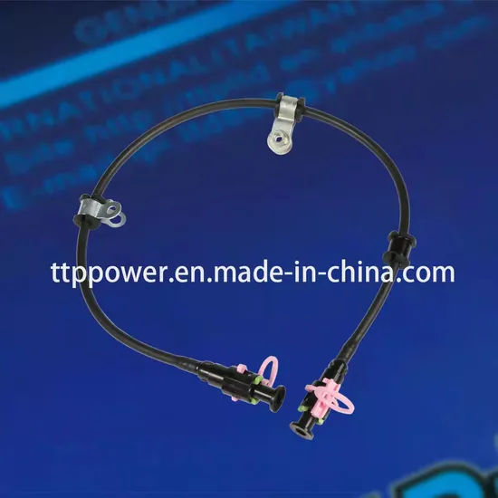 Motorcycle Spare Parts High Press Oil Delivery Pipe/Oil Pipe 